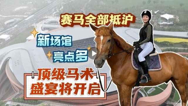 赛马全部抵沪 新场馆亮点多 顶级马术盛宴将开启