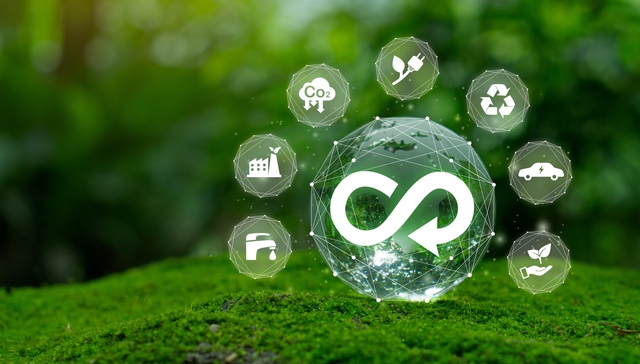 减税降费，反向开票，上海税务部门，设备更新