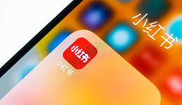 對話了10+品牌主，我們聊了聊小紅書為何“種草難”