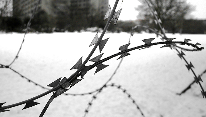 游记,新书,书单,华裔,奥斯维辛