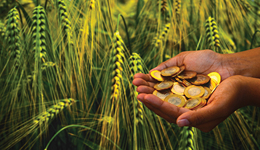 4月信贷恢复同比多增，均衡投放、防止资金空转效果初现