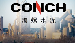 海螺水泥前董事長被判11年，任內(nèi)“水泥茅”是個“投資狂”？