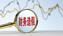 因子公司连续五年财务造假，深圳国企特发信息将被ST