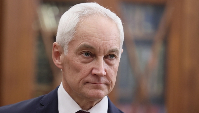 俄罗斯,防长,绍伊古,经济学家,普京