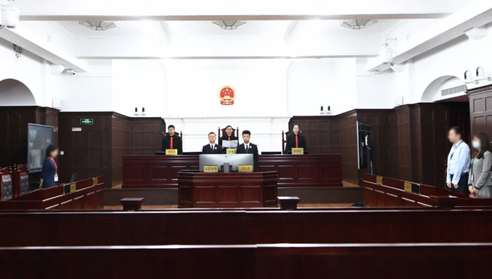 证券虚假陈述，上海金融法院