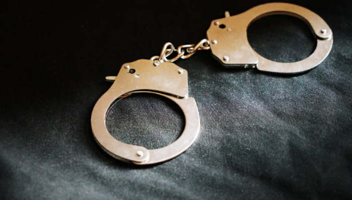 开除,处分,党籍,亏损