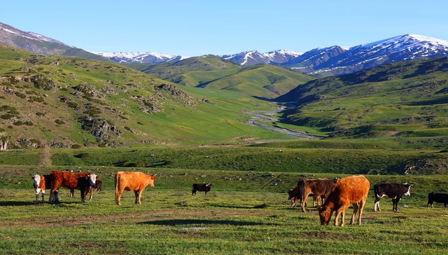 《我的阿勒泰》热播，阿勒泰已预占下一个旅游目的地“顶流”