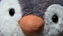 上万多块的联名玩偶被疯抢，Jellycat怎么就成了“无法复制”？