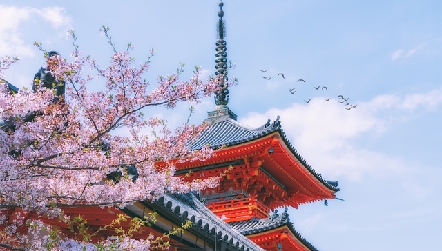 日元贬值拖累消费，一季度日本GDP折年率下降2%