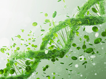 金股挖掘｜規(guī)模效應(yīng)將逐步顯現(xiàn)，這家平臺型合成生物公司被看好