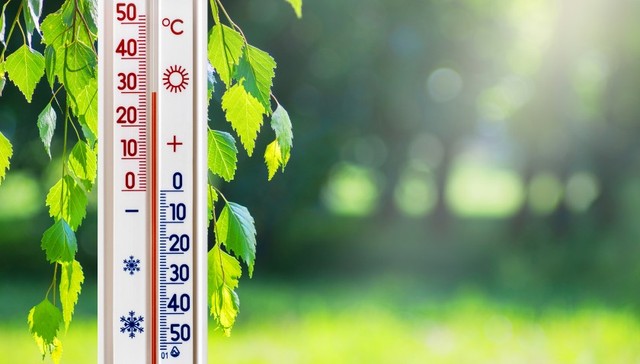 地方新闻精选 | 运城等地将出现中等以上干热风 淄博回应村集体征地补偿款被“理财”