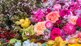 獨角獸隕落，商家連叫苦，520的爆單生意為何難做？