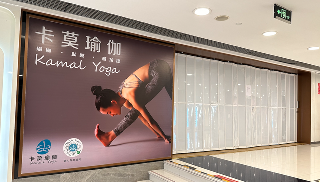 瑜伽；真格基金