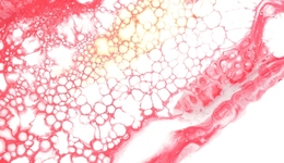 吸金超百亿后，这个赛道还有30倍增长空间