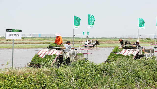 植保收入放缓，先正达指望营收39亿美元的智慧农场业务带动增长