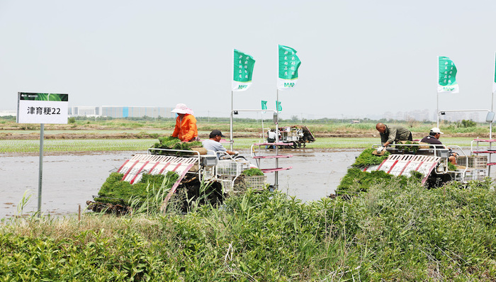 植保收入放缓，先正达指望营收39亿美元的智慧农场业务带动增长