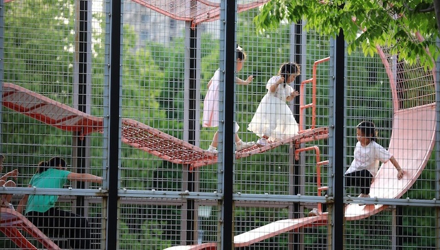 严善平：取消生育限制、强化生育支援刻不容缓