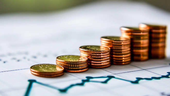 投资,云南白药,高管,