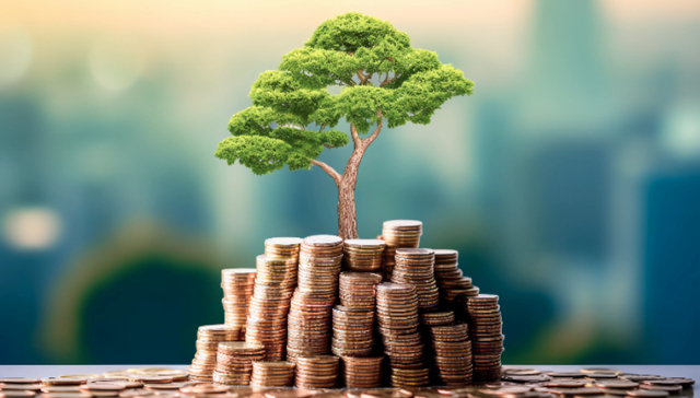 地方政府融资平台