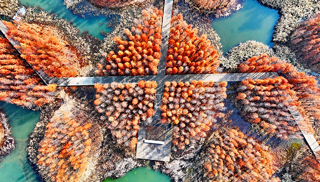 直通部委丨我国初步建立生态保护修复监管体系 国新办发表《2023年美国侵犯人权报告》