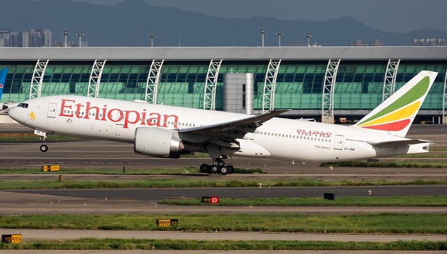 出境游非洲目的地升温，这家当地最大航司想抓住机会