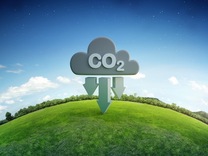 盘前机会前瞻| 国务院重磅发布！《2024—2025年节能降碳行动方案》出台，这几家公司在绿色双碳领域深度布局（附概念股）