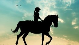 阿勒泰，“密谋”已久