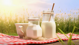 中国乳业迎来一条俄国鲶鱼