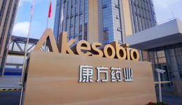 首胜K药，至暗时刻，康方生物上演绝地反击