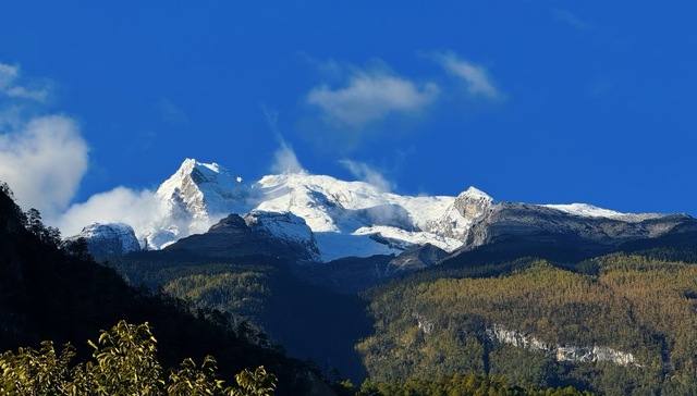 大势所驱的美妆行业ESG之路，贝泰妮多走了哪一步？