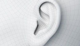 人即便不是用耳朵聽(tīng)，也是用身體和整個(gè)生命傾聽(tīng) | 一周新書(shū)推薦