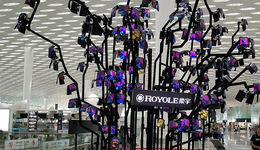 刘姝威再谈柔宇科技：曾拒绝华为投资，错失拯救公司的机会