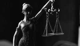 遍地都是打假博主，靠什么赚钱？