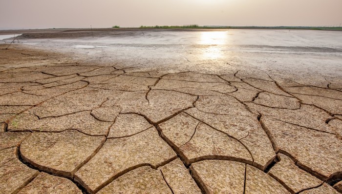 华北、黄淮等地高温持续发力，河南村民连夜浇水保苗
