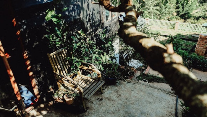 疗愈经济,年轻人,生活方式,养老,