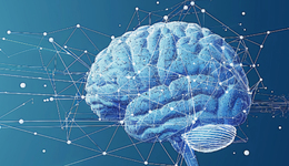 第一批大模型独角兽开始“挤泡沫”