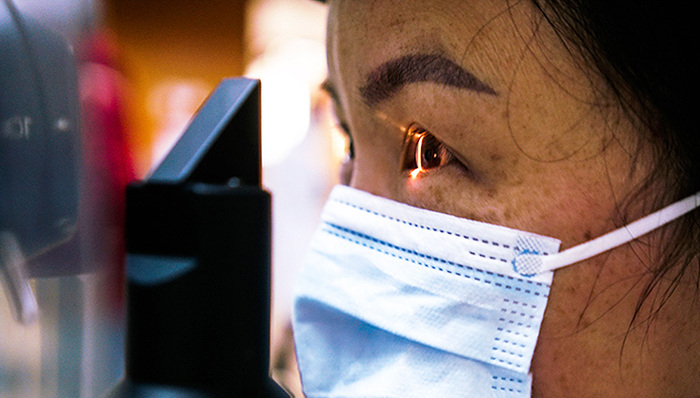 地方新闻精选丨复旦大学专家团队或让盲人有机会“重见光明” 河南启动抗旱四级应急响应