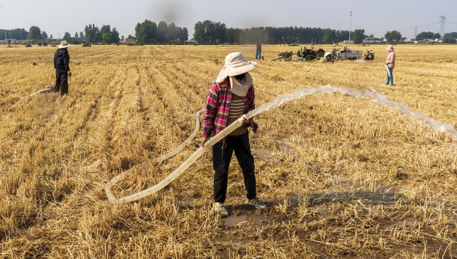 河南多地高温“烤”验，也是极端天气常态化应对大考