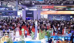 “繁荣”假面下，企业抱着“熬死”对手的心态在坚持｜再会SNEC