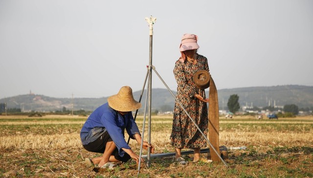 【深度】河南“大烤”，如何应对？