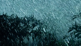 地方新聞精選 | 武平特大暴雨致4死2失蹤 梅州超13萬戶停電