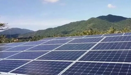 一季度净利缩水超九成，钧达股份拟出海寻出路