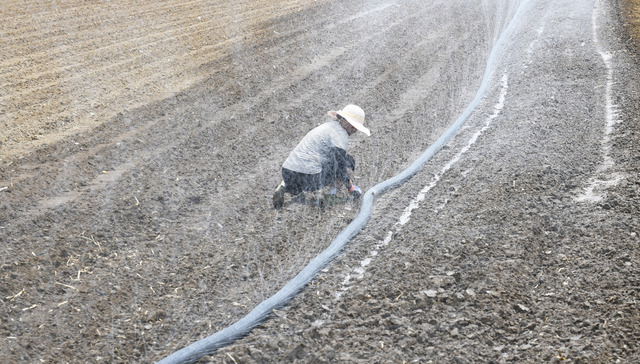 直通部委 | 国家税务总局回应“倒查30年” 财政部下达4.43亿元支持黄淮海等地抗旱保夏播
