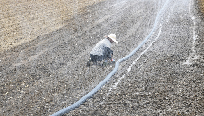 直通部委 | 国家税务总局回应“倒查30年” 财政部下达4.43亿元支持黄淮海等地抗旱保夏播