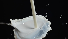 百亿红利市场年增速超20%，3亿银发族带动中老年奶粉三大内卷方向