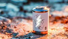 寧王無效“奮斗100天”？