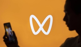 “佛系”視頻號，躺平618