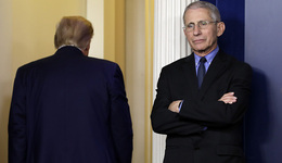 传染病专家福奇出版回忆录，青少年读者热衷谋杀题材 | 文化周报