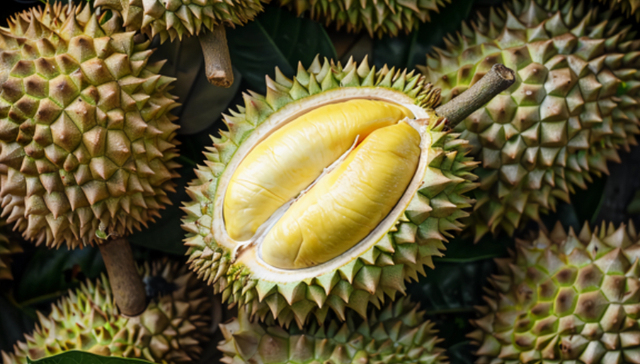 马来西亚新鲜榴莲要来中国了，马方喊话农民扩大种植规模