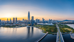 南山举行民营经济高质量发展交流活动，俞敏洪称发展应遵循“热带雨林”模式